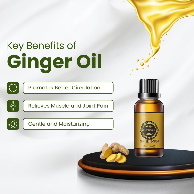 Belly Drainage Ginger Oil - Swelling Care & Slimming